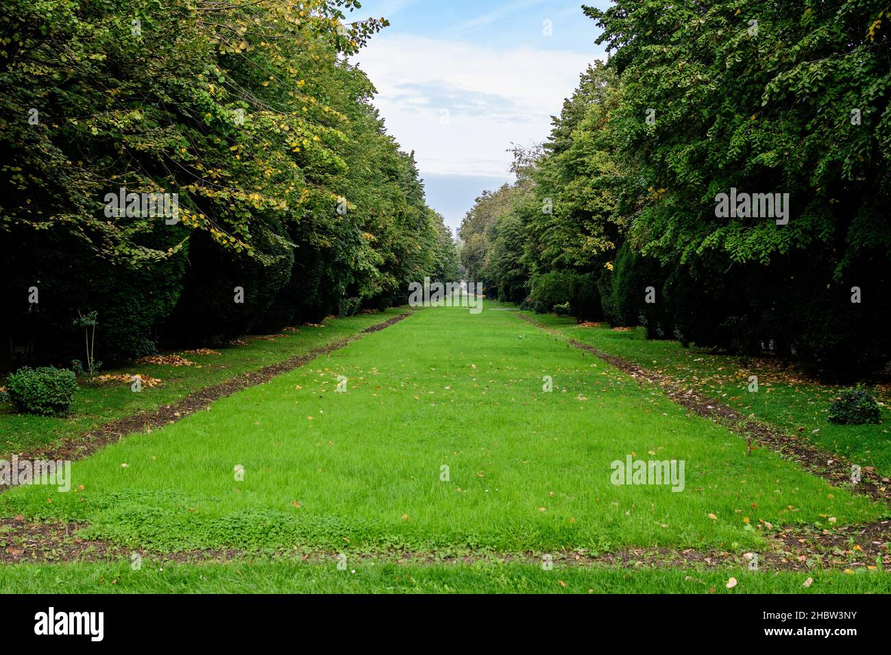 Paysage avec la ruelle principale avec des plantes vertes vives, des tilleuls verts et de l'herbe dans une journée ensoleillée d'été dans le jardin Cismigiu à Bucarest, Roumanie Banque D'Images