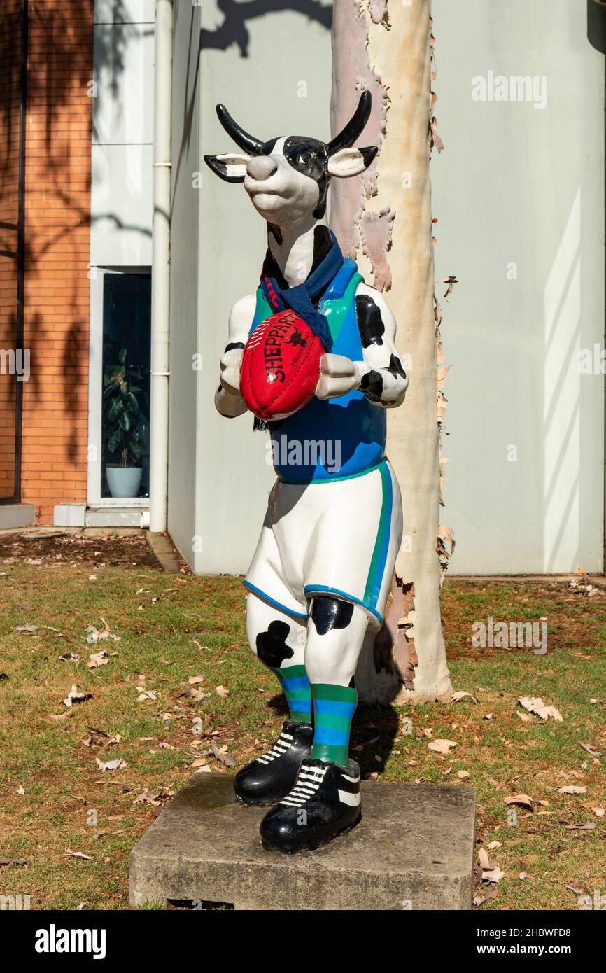 Footballeur Cow Art aux bureaux du Conseil, Shepparton, Victoria, Australie Banque D'Images