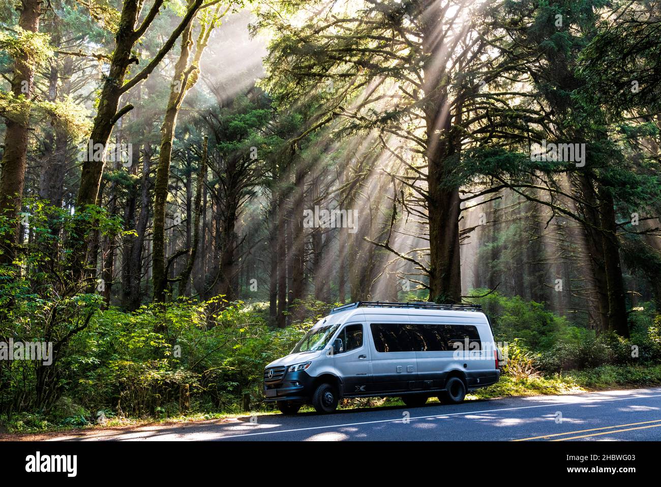 Airstream Interstate 24X 4WD campervan ; lumière matinale spectaculaire filtre à travers la brume et les grands arbres ; zone pittoresque de Cape Perpetua ; près de Yachats ; Oregon Banque D'Images