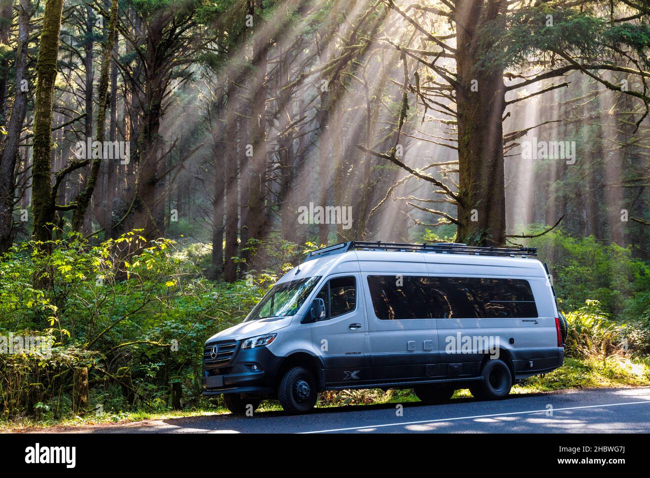Airstream Interstate 24X 4WD campervan ; lumière matinale spectaculaire filtre à travers la brume et les grands arbres ; zone pittoresque de Cape Perpetua ; près de Yachats ; Oregon Banque D'Images