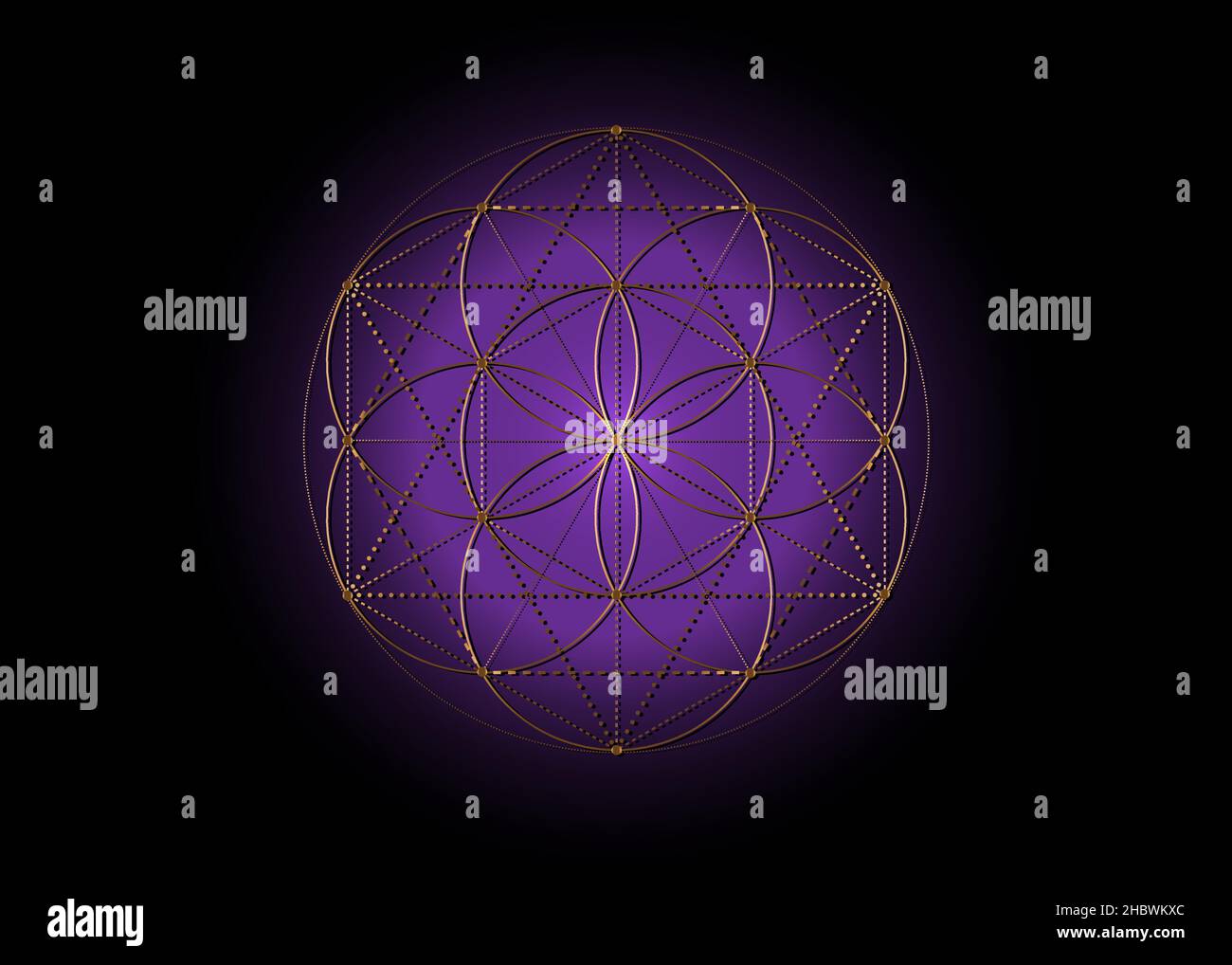 Fleur de vie, symbole de semence de vie géométrie sacrée, mandala mystique du signe ésotérique alchimie.Logo Golden Luxury Vector isolé sur fond violet Illustration de Vecteur
