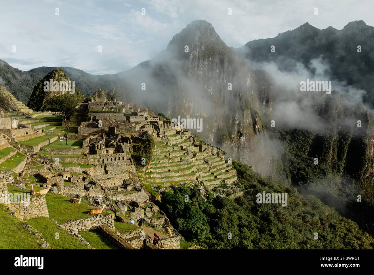 Machu Picchu est une citadelle inca datant de 15th ans située dans la Cordillère orientale du sud du Pérou Banque D'Images