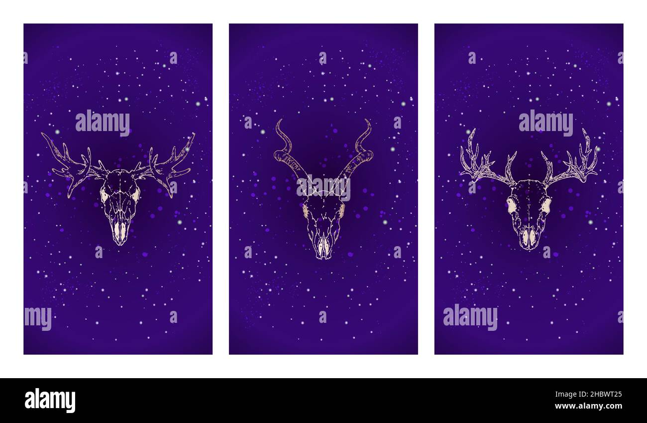 Ensemble de trois illustrations vectorielles avec silhouettes en or crânes cerf, antilope et orignal sur le fond du ciel étoilé.Image en violet. Illustration de Vecteur