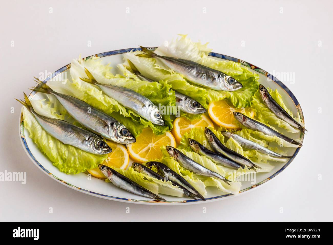 Poisson non cuit de maquereau de cheval, istavrit et petit poisson, anchois, Hamsi conçu dans une assiette ovale avec des tranches de citron et de feuilles de laitue. Banque D'Images