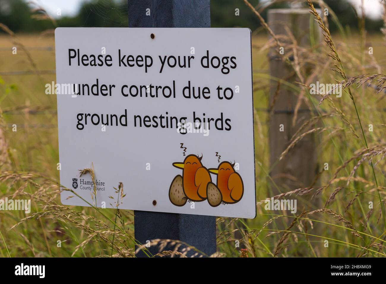 Veuillez garder vos chiens sous contrôle en raison du panneau indiquant les oiseaux nicheurs au sol à la réserve naturelle nationale Martin Down, à la frontière du Hampshire Dorset au Royaume-Uni, en juillet Banque D'Images