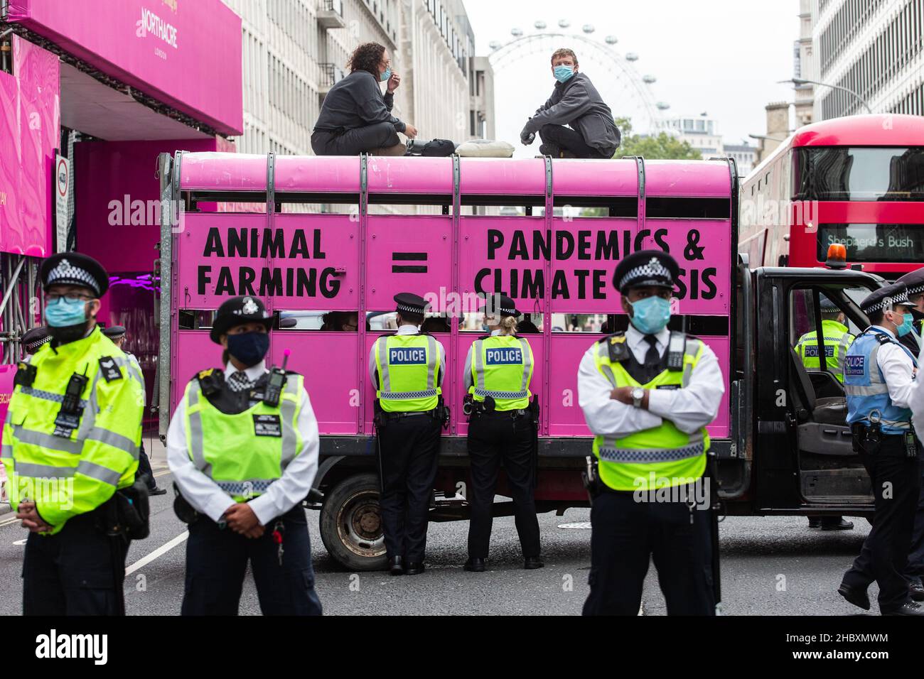 Les manifestants de la rébellion animale au-dessus d'un camion d'abattoir rose avec l'élevage des animaux de police égalent les pandémies et la crise climatique Londres 2020 Banque D'Images