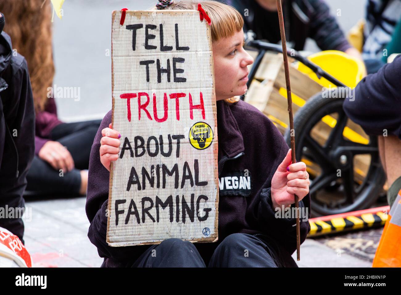 Activiste de rébellion animale assis dans la route à l'extérieur de Barclays Bank avec étiquette Tell the Truth About Animal Farming Londres 2020 Banque D'Images