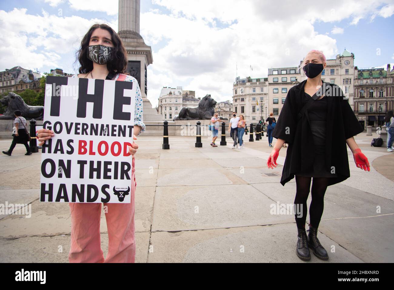 Animal rébellion protestataire avec sang sur les mains écriteau et protestataire avec les mains rouges Trafalgar Square Londres 2020 Banque D'Images