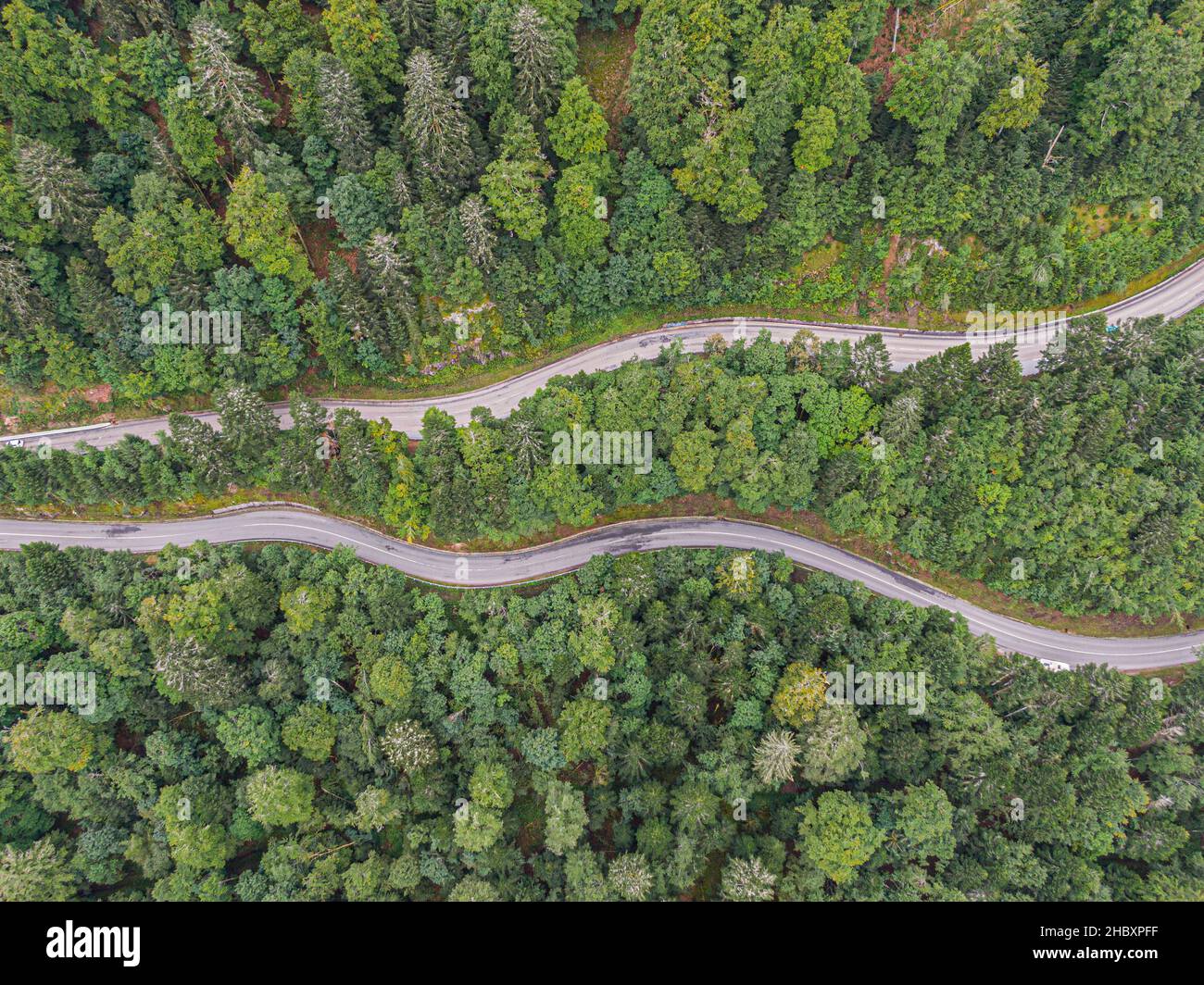 Vue aérienne sur deux routes traversant la forêt de conifères de voges Banque D'Images