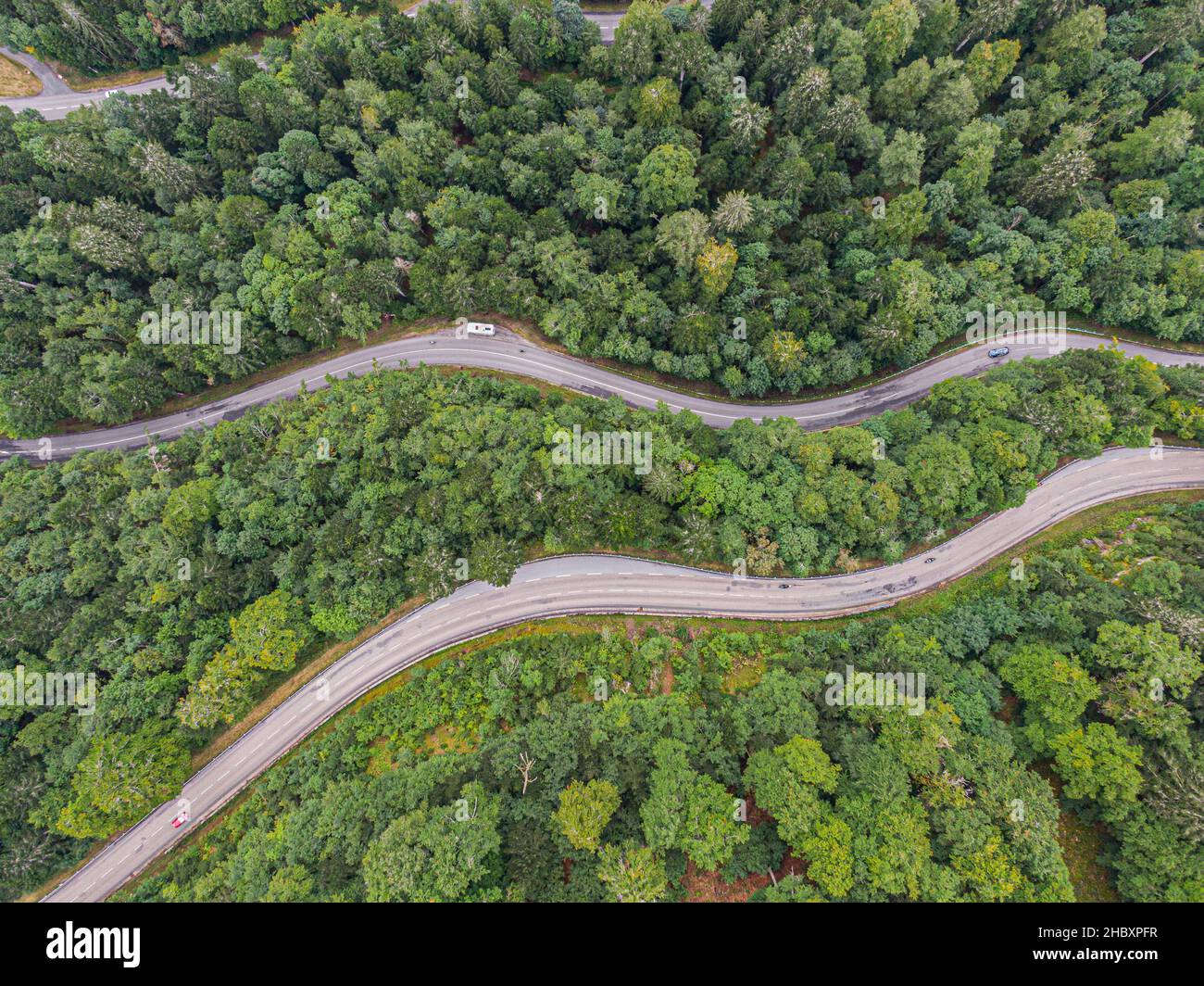 Vue aérienne sur deux routes traversant la forêt de conifères de voges Banque D'Images