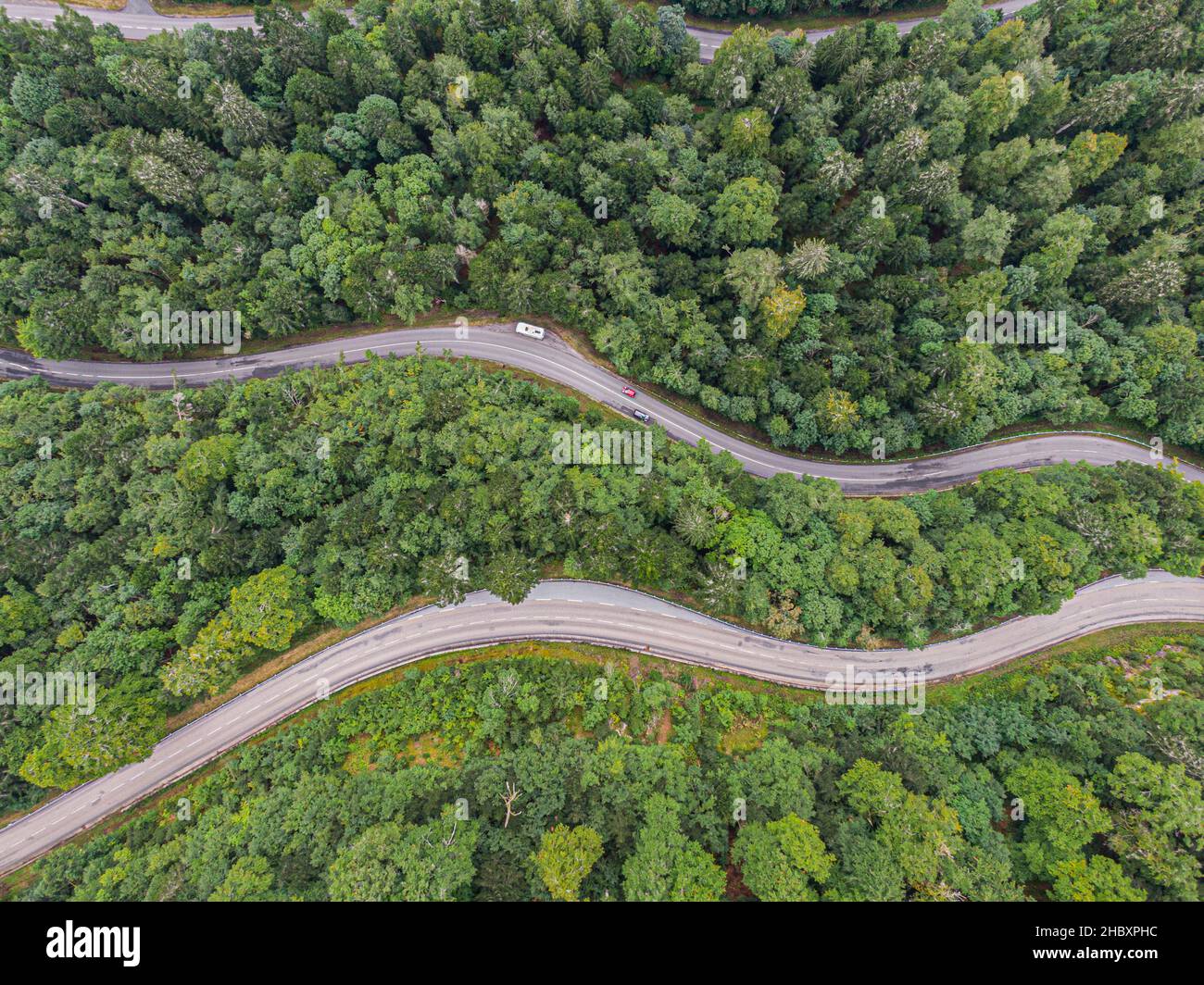 Vue aérienne sur deux routes traversant la forêt de conifères de voges Banque D'Images