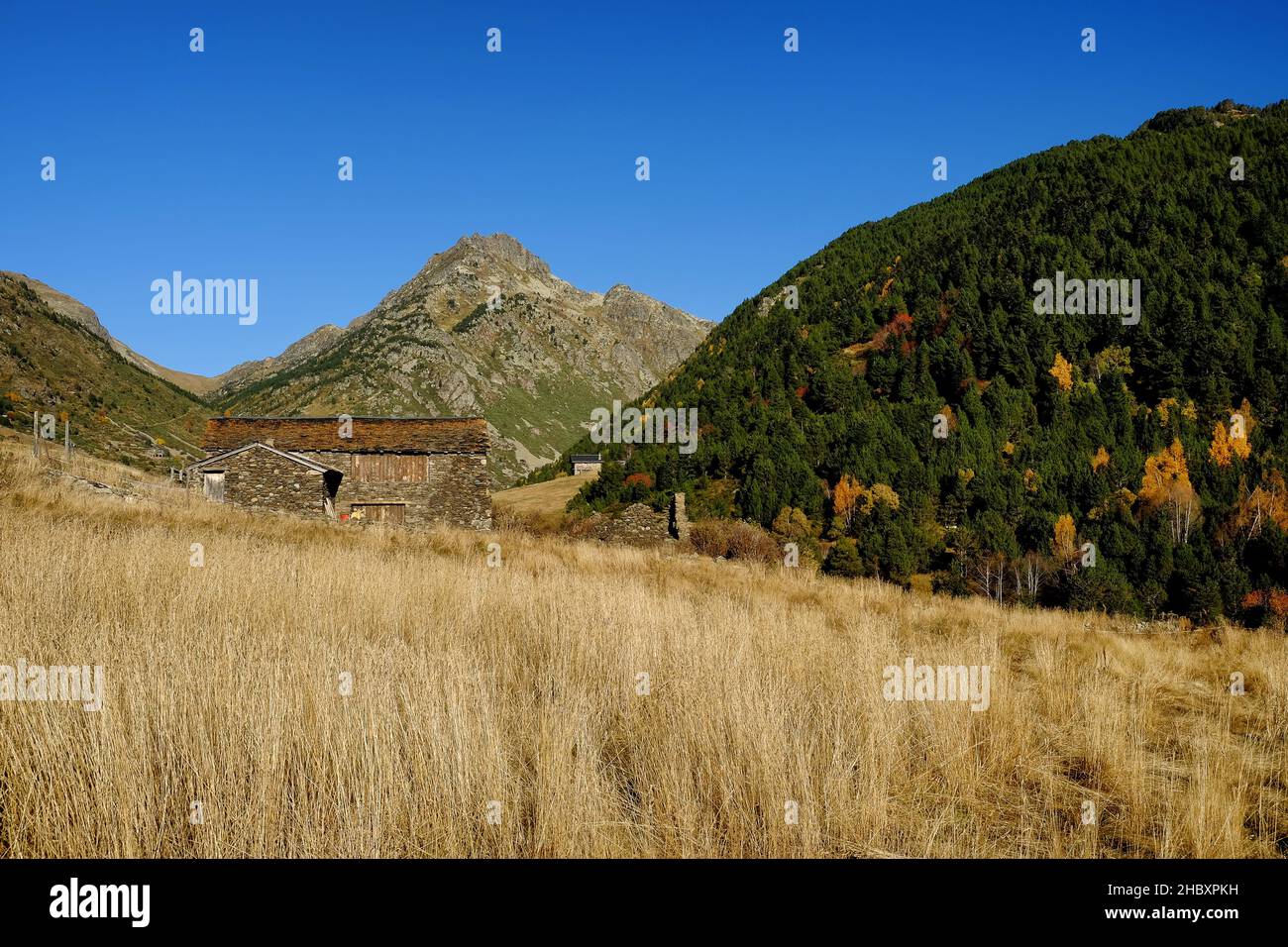 Otoño en Andorre, un paseo por el Vall d'Incles y por los alrededores de AINA Banque D'Images