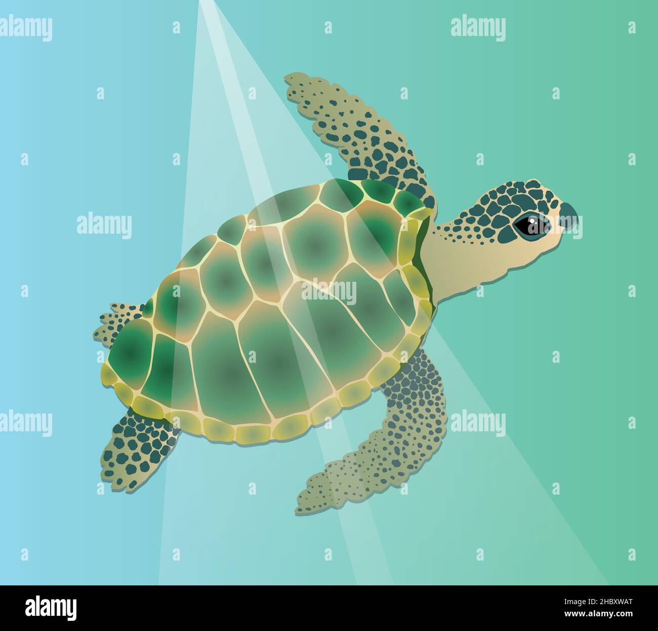 Illustration vectorielle d'une tortue de mer nageant sous l'eau.Le reptile est vert avec une couleur bleue et il a des taches dans une teinte bleu foncé vert sur son h Illustration de Vecteur