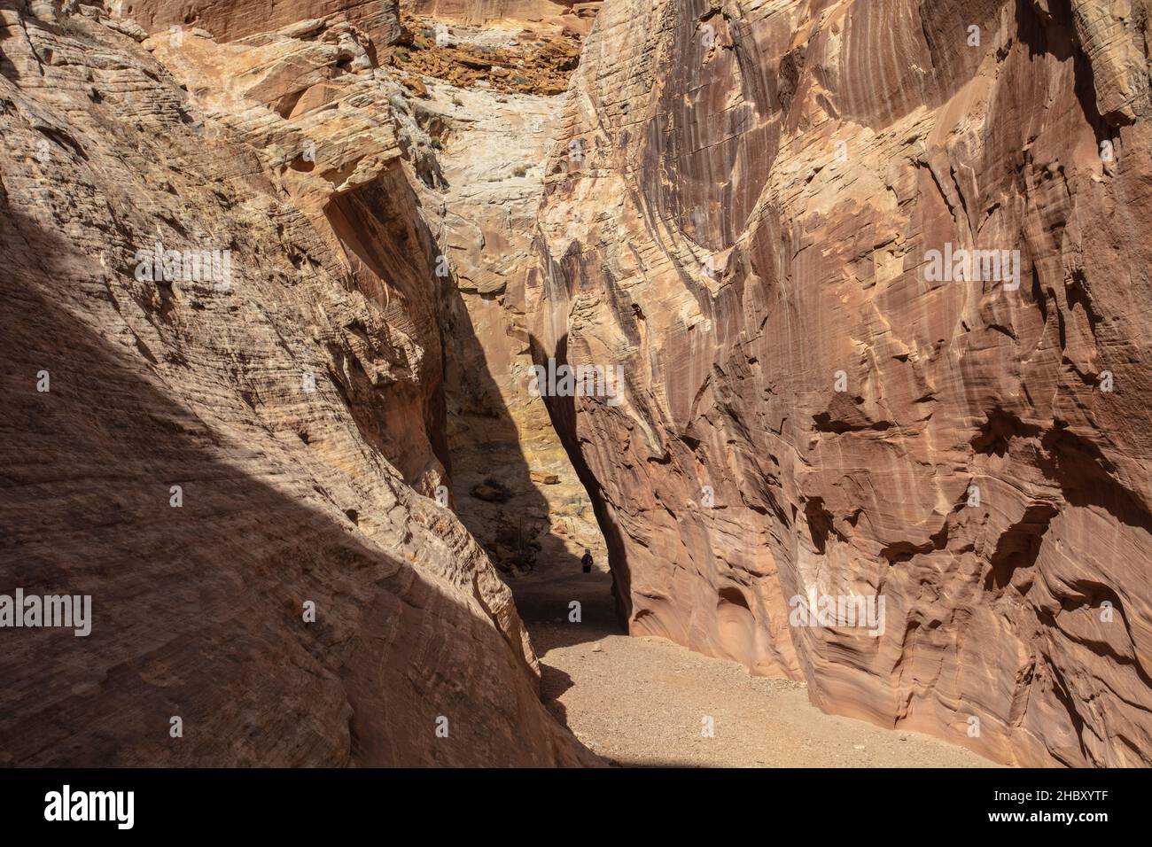 Little Wild Horse Canyon est une belle fente du sud-ouest qui traverse la houle de San Rafael près du parc national de Goblin Valley dans l'Utah Banque D'Images