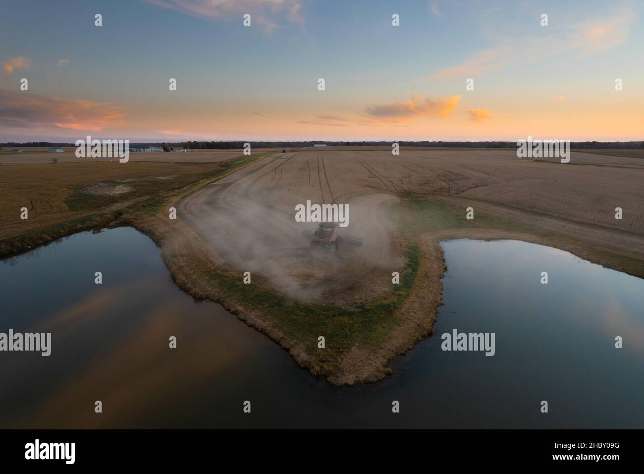 La moissonneuse-batteuse travaillant dans le champ de soja au bord du lac, dans un ciel dégagé, au coucher du soleil dans le Missouri Banque D'Images