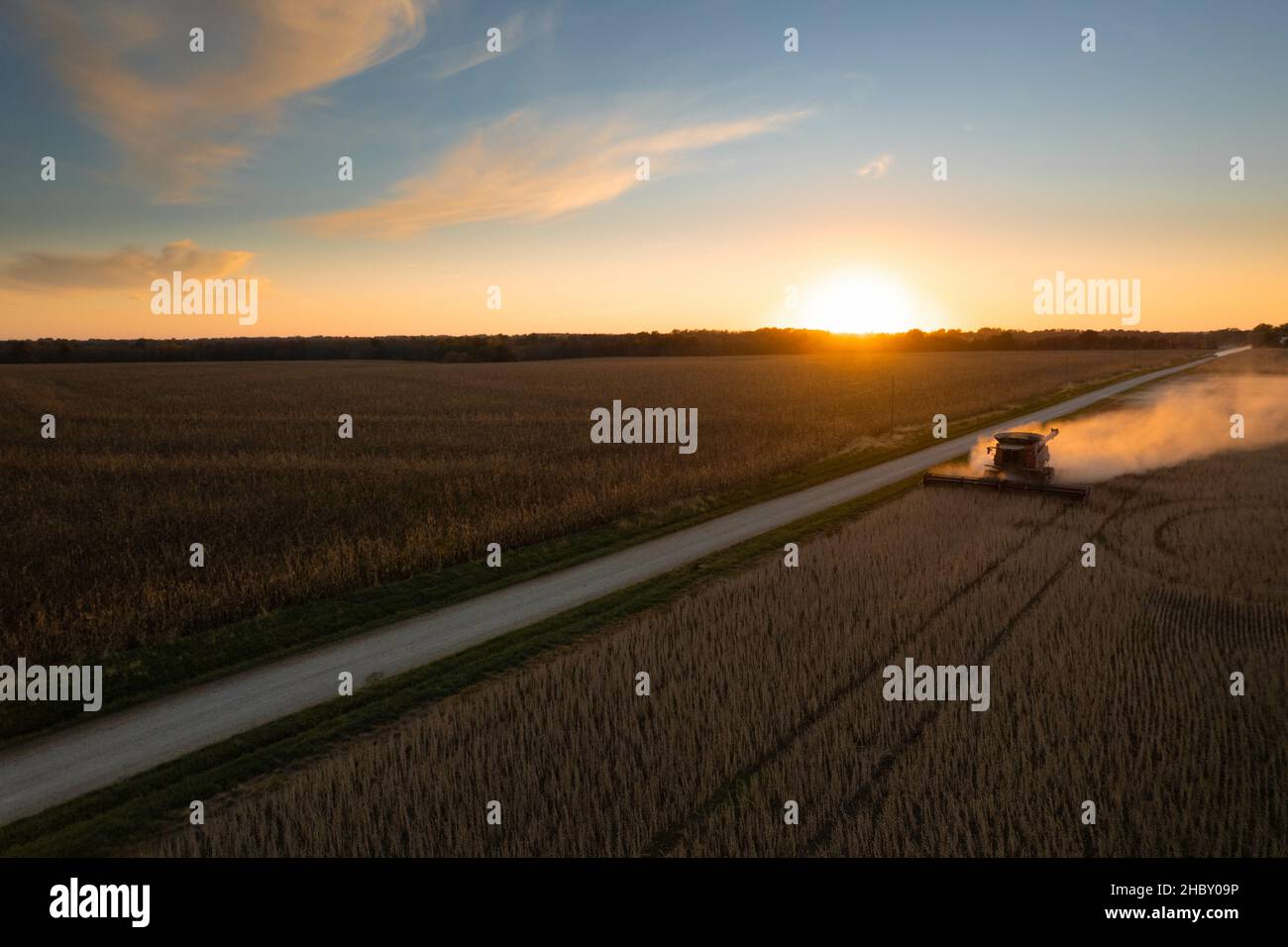 La moissonneuse-batteuse travaillant dans le champ de soja contre un ciel dégagé au coucher du soleil dans le Missouri Banque D'Images