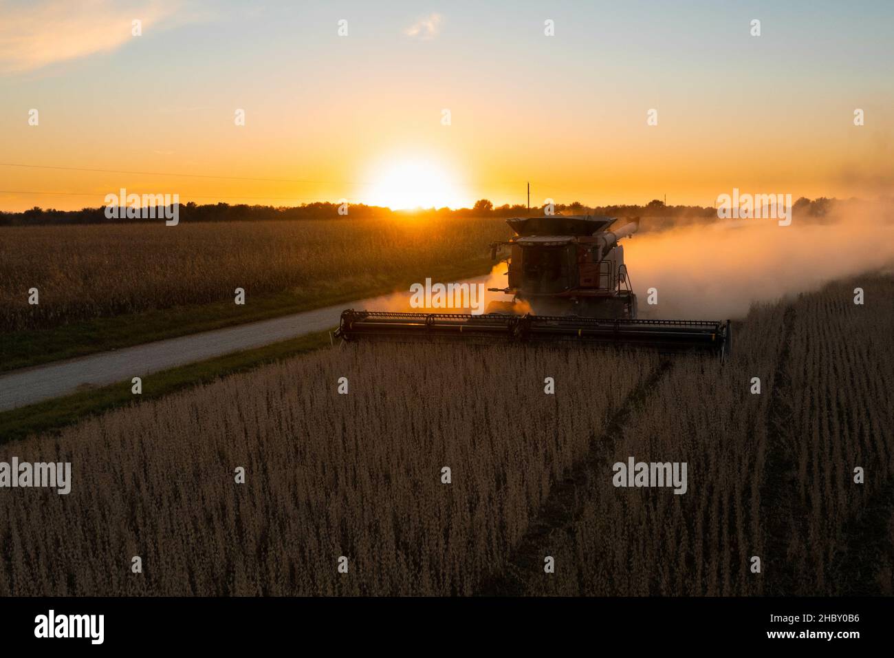 La moissonneuse-batteuse travaillant dans le champ de soja contre un ciel dégagé au coucher du soleil dans le Missouri Banque D'Images