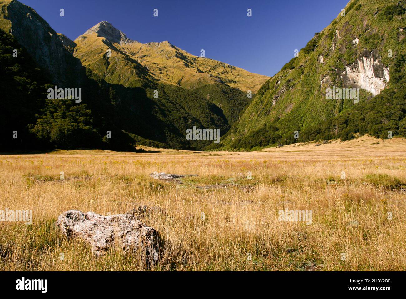 Gillespie Pass circuit dans le parc national de Mount Aspiring - Nouvelle-Zélande Banque D'Images