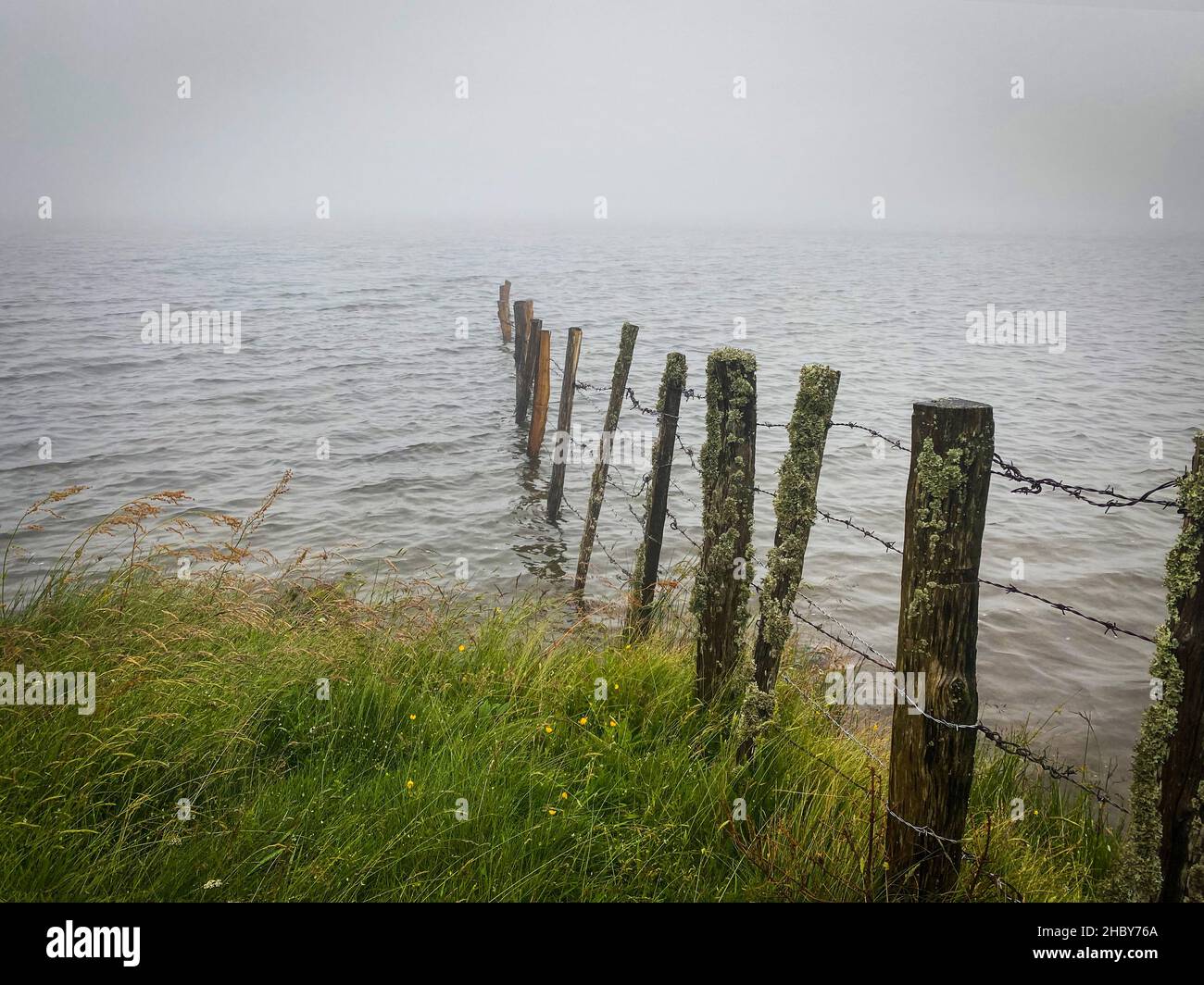 Brume matinale sur le lac de Servieres, certaines clôtures en bois poste dans l'eau, Puy de Dome, auvergne, France Banque D'Images