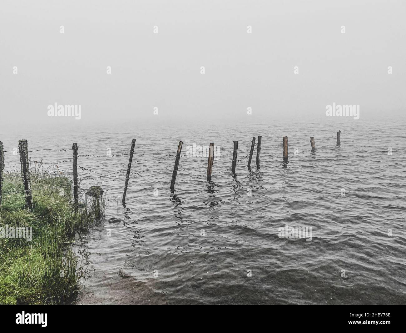 Brume matinale sur le lac de Servieres, certaines clôtures en bois poste dans l'eau, Puy de Dome, auvergne, France Banque D'Images