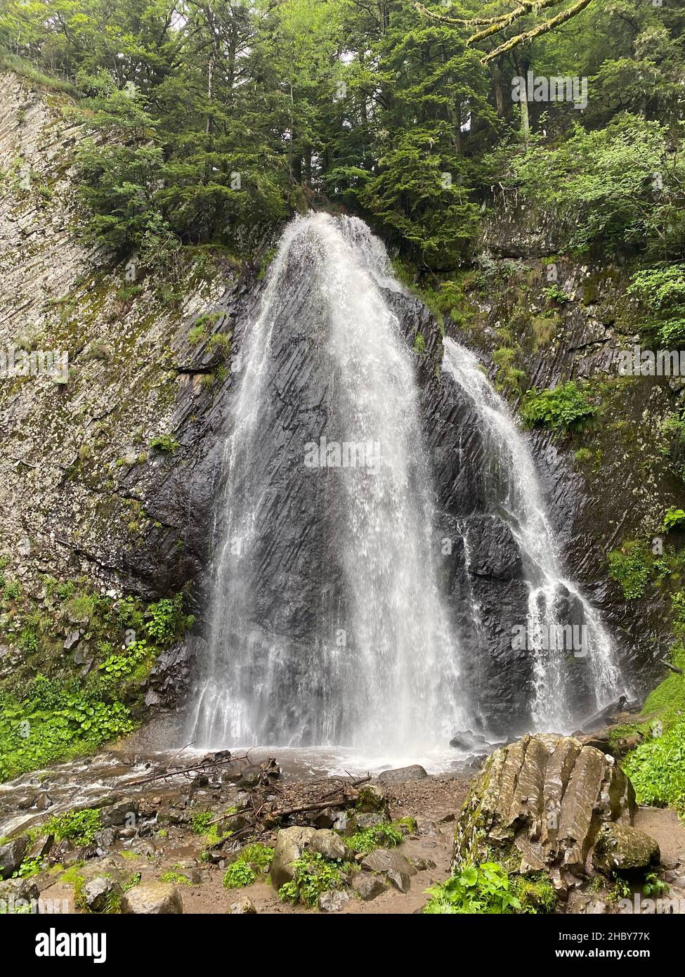 Cascade de Queureilh, le Mont-Dore, Puy-de-Dome, Auvergne, France Banque D'Images