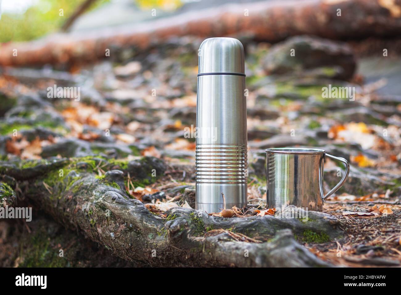 Thermos et mug en acier inoxydable en forêt.Accessoires de voyage.Rafraîchissements pendant la randonnée. Banque D'Images