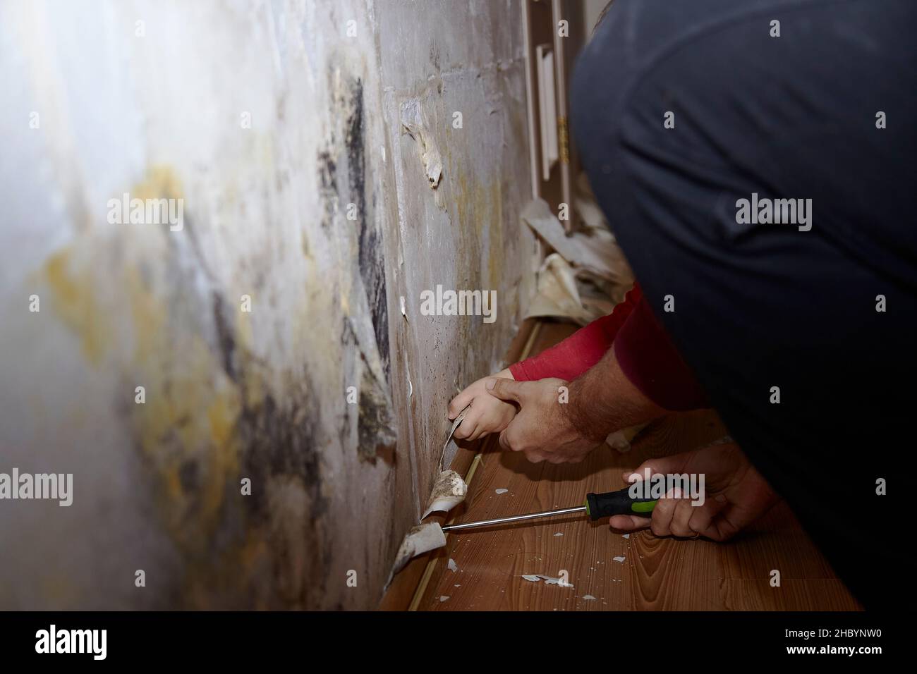 Le père et le fils retirent l'ancien papier peint du mur.Préparation pour la rénovation de la salle.Fils enseignant, bonne parentalité.Tâches ménagères.Papa et son jour ensemble. Banque D'Images