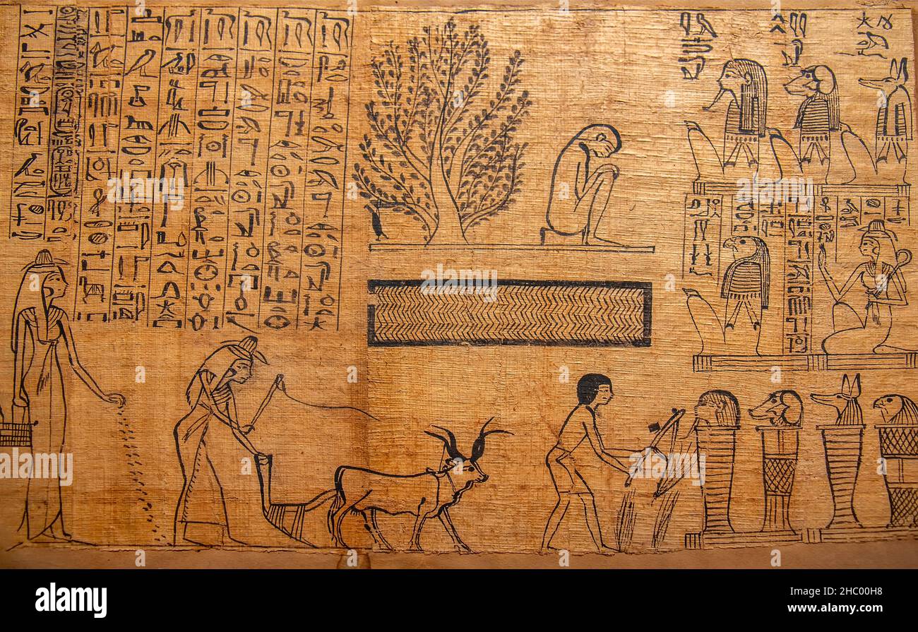 Ancien papyrus dans le musée du Caire, Egypte - détail Banque D'Images