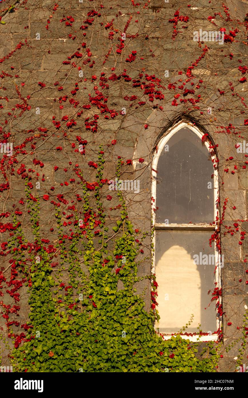 Détail fenêtre au presbytère catholique ou au clergé de St. Mary's à Killarney, comté de Kerry, Irlande Banque D'Images