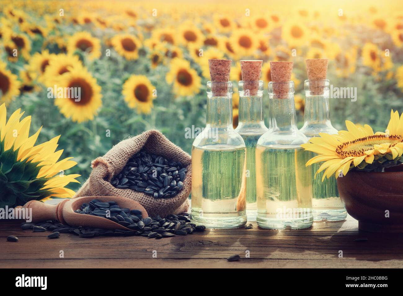 Trois bouteilles d'huile de tournesol et sac de graines de tournesol noires, magnifique champ de tournesol jaune sur fond. Banque D'Images