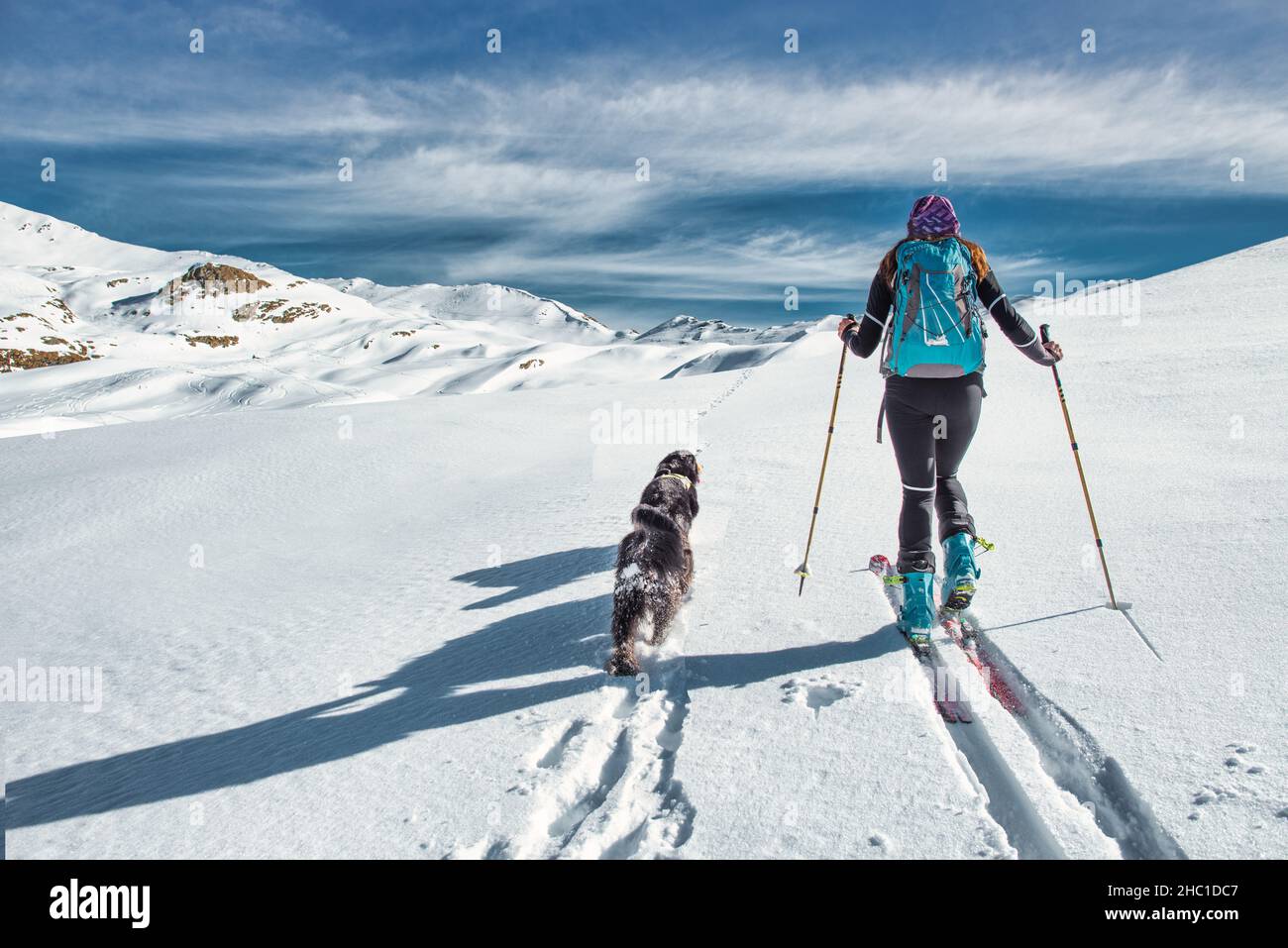 Deux chiens avec son alpiniste de ski dans un plateau de neige immaculé Banque D'Images