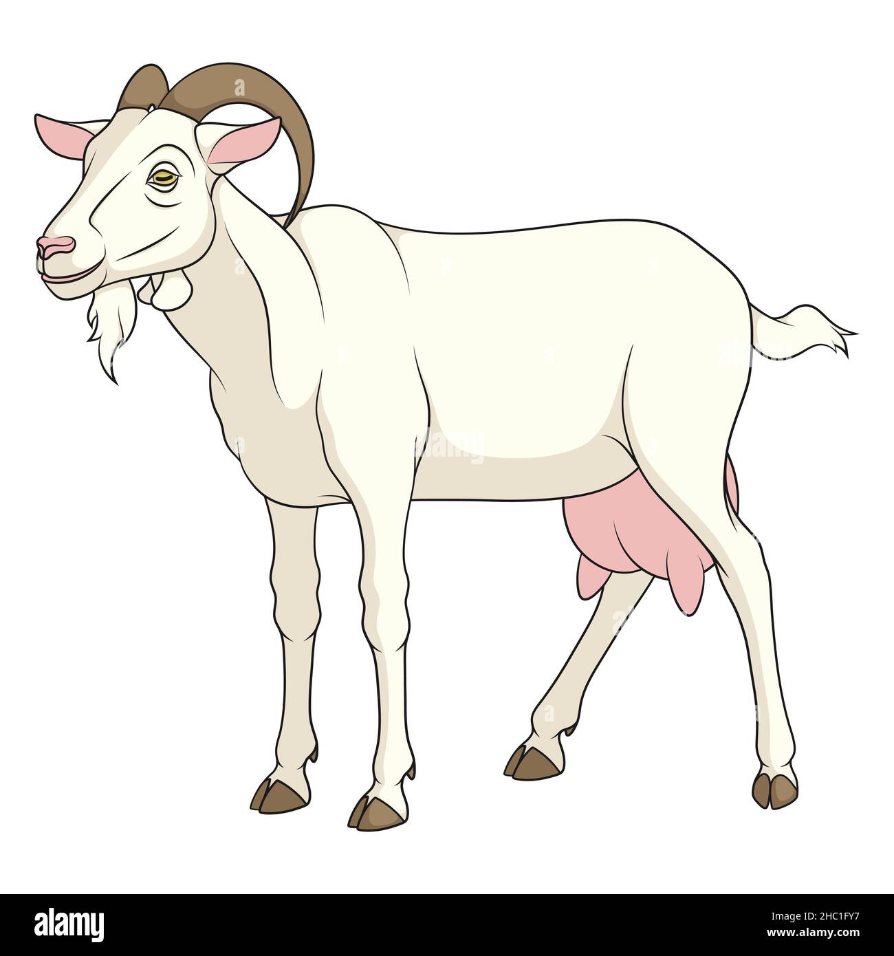 Image couleur avec une chèvre blanc.Objet vectoriel isolé sur fond blanc. Illustration de Vecteur