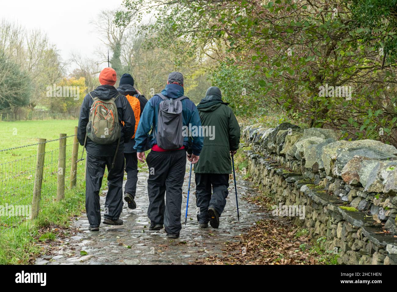 Quatre randonneurs mâles qui ont fait de la randonnée à Borrowdale dans le parc national de Lake District lors d'une journée d'automne humide, Cumbria, Angleterre, Royaume-Uni Banque D'Images