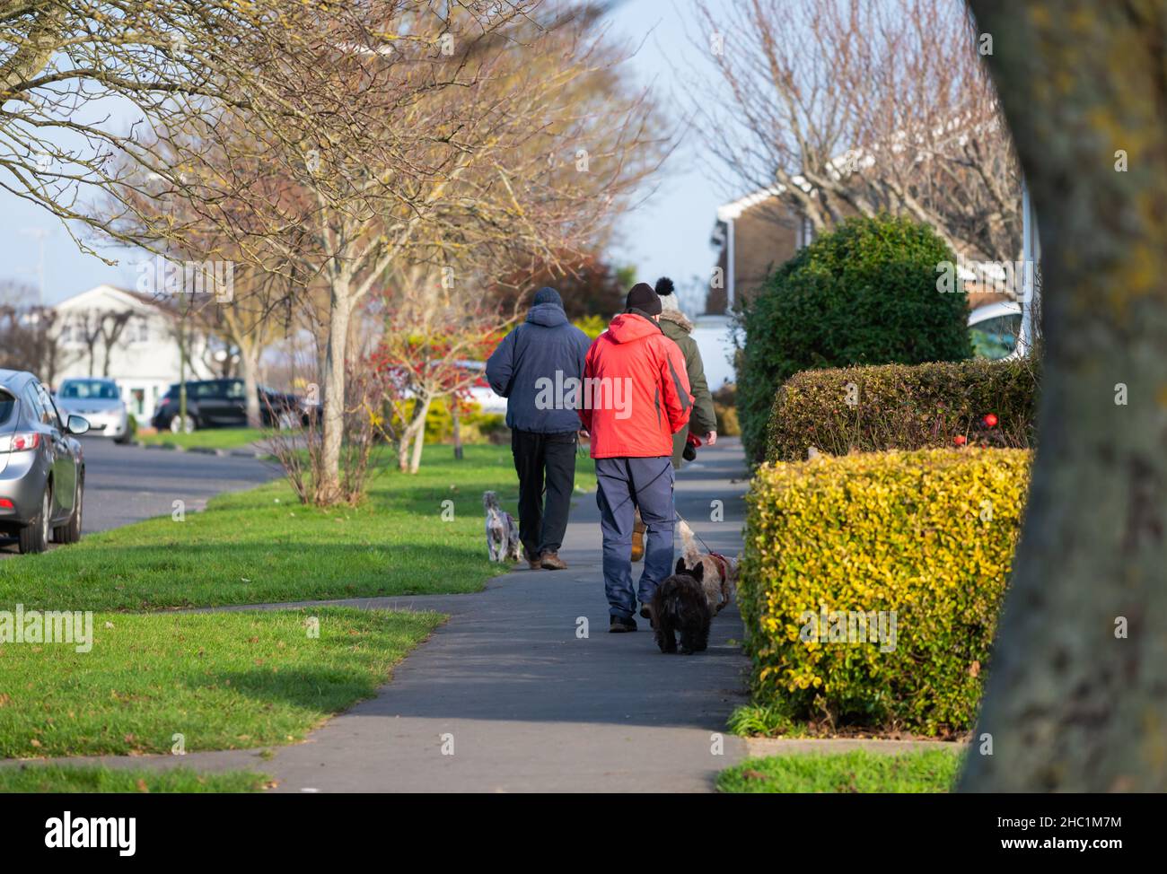 Personnes marchant le long d'un trottoir de bord de route en hiver, vêtues de manteaux chauds, chiens de marche en Angleterre, au Royaume-Uni. Banque D'Images