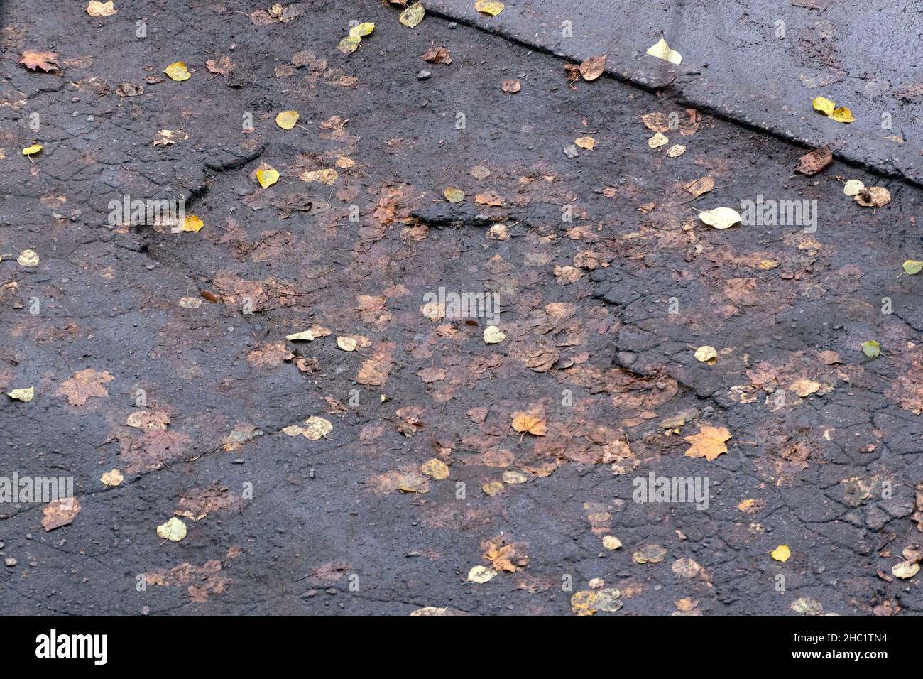 Fosses dans l'asphalte et les feuilles jaunes d'automne.La vieille route.Mauvaise surface de la route.Vue de dessus Banque D'Images
