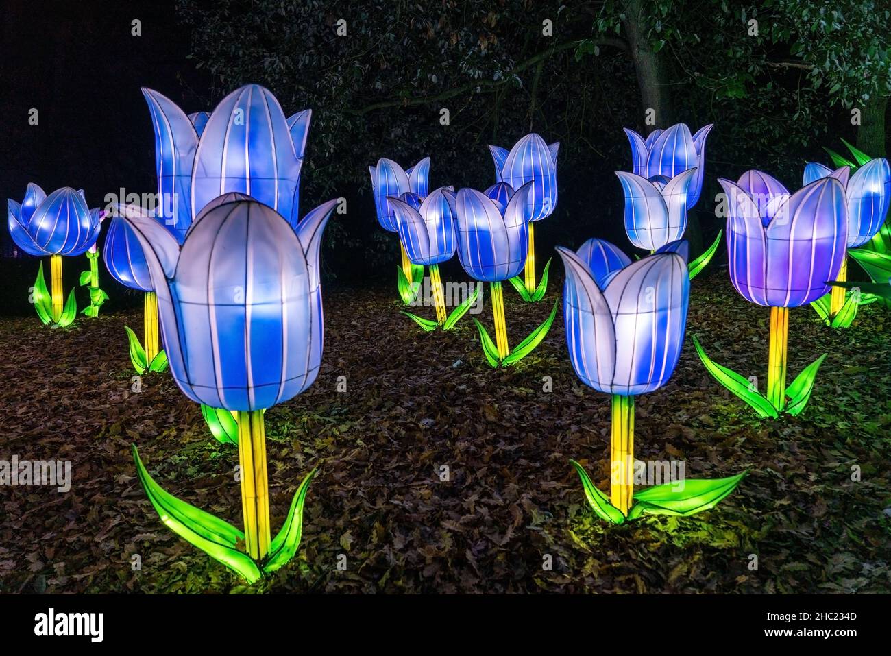Des fleurs bleues illuminent Crystal Palace Park la nuit à Lightopia, Londres Banque D'Images
