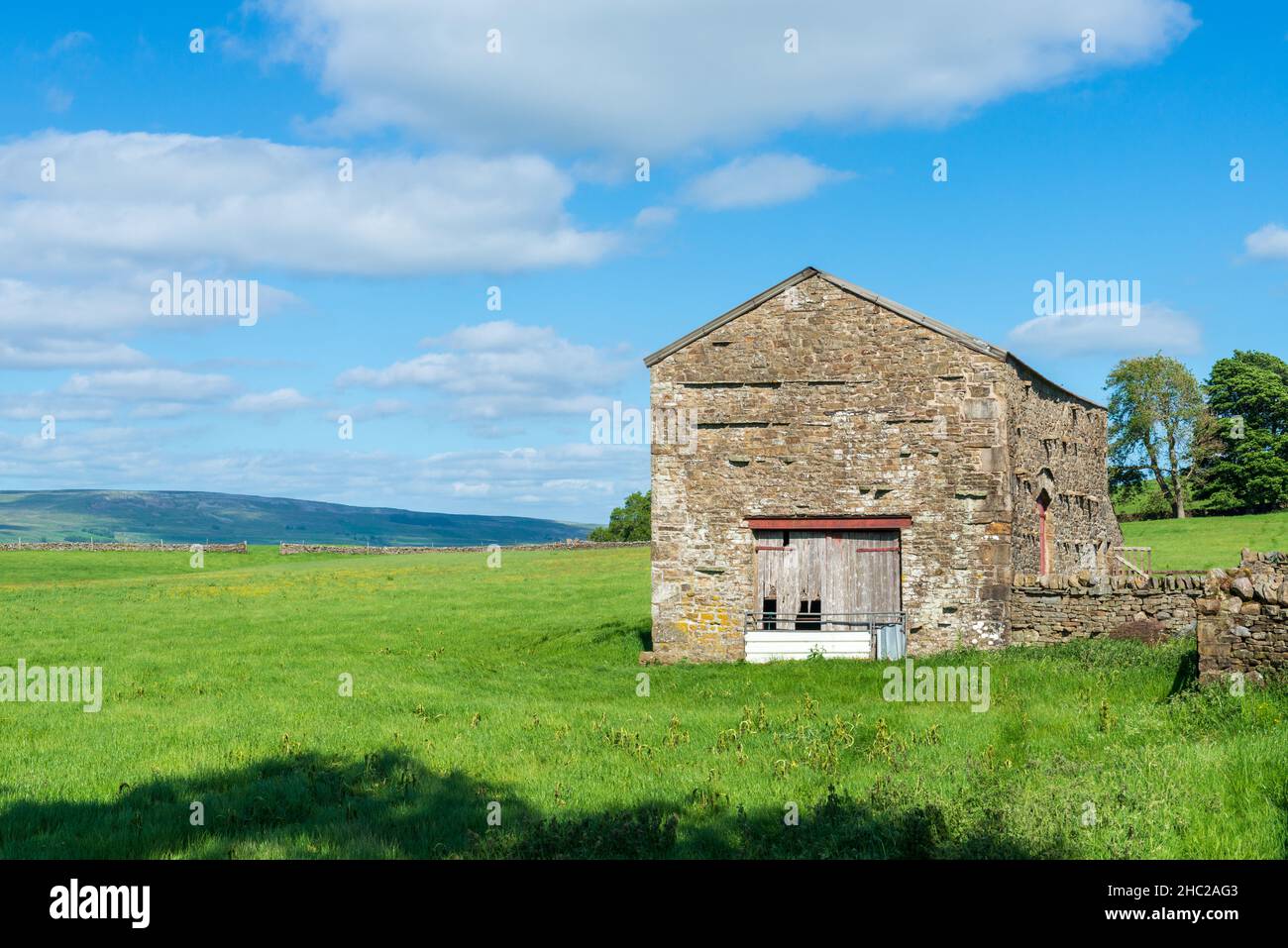 Une grange traditionnelle construite en pierre, située dans des prairies verdoyantes, au cours d'un après-midi ensoleillé de printemps à Wensleydale, dans le Yorkshire Dales Banque D'Images