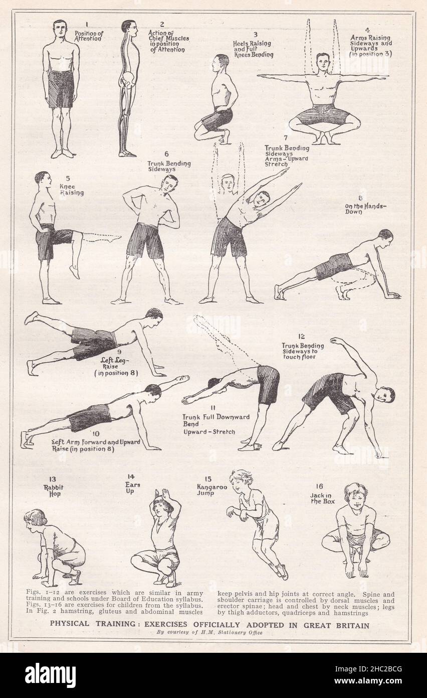 Schémas / illustrations vintage de la formation physique: Exercices officiellement adoptés en Grande-Bretagne 1930s. Banque D'Images