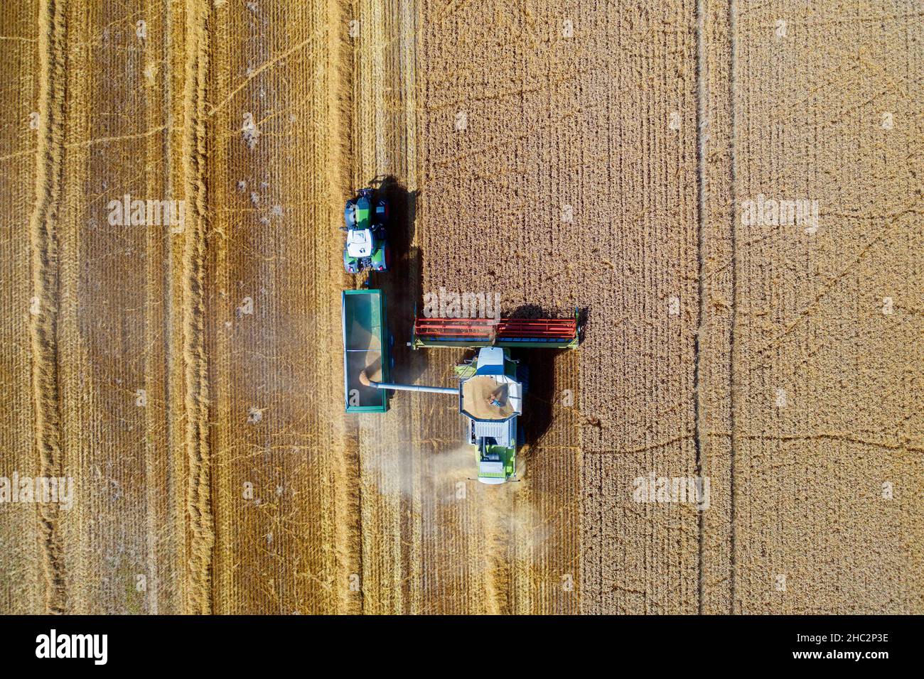 Vue aérienne de la moissonneuse-batteuse et du tracteur avec remorque récoltant du colza en été Banque D'Images