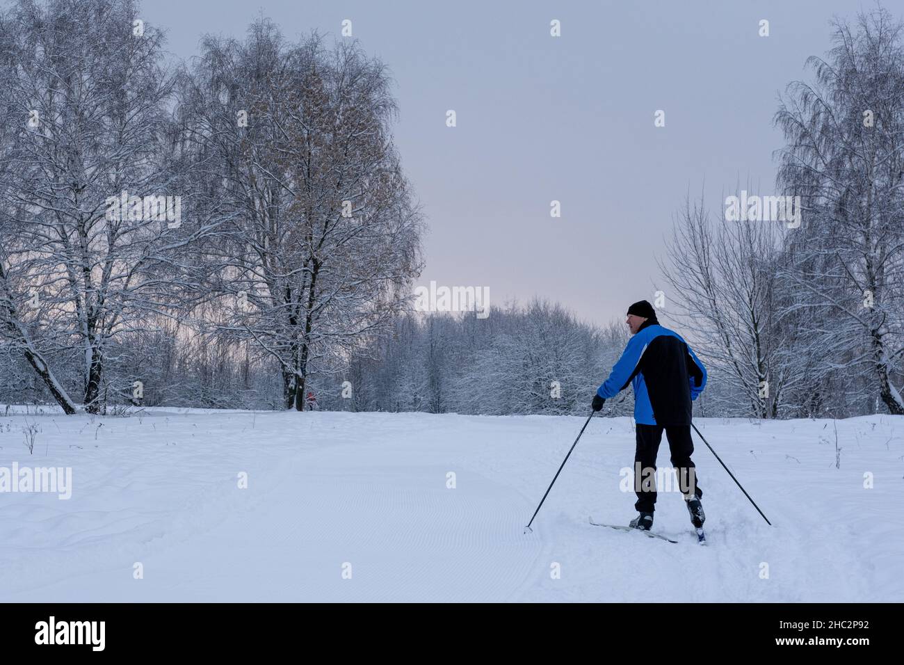 Un hiver magique dans le parc.Journée glacial.Photo de haute qualité Banque D'Images