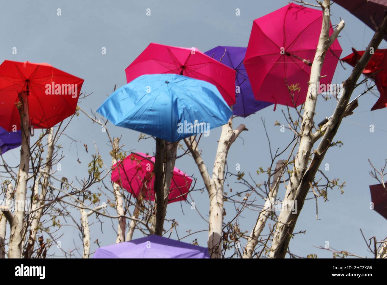 Vue sur les parasols Banque D'Images