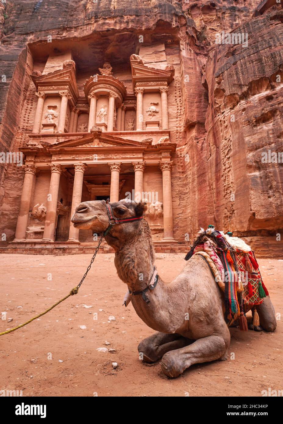 Chameau se reposant devant le temple principal (Al-Khazneh - Trésor) à Petra, en Jordanie.Les animaux sont utilisés pour les touristes Banque D'Images