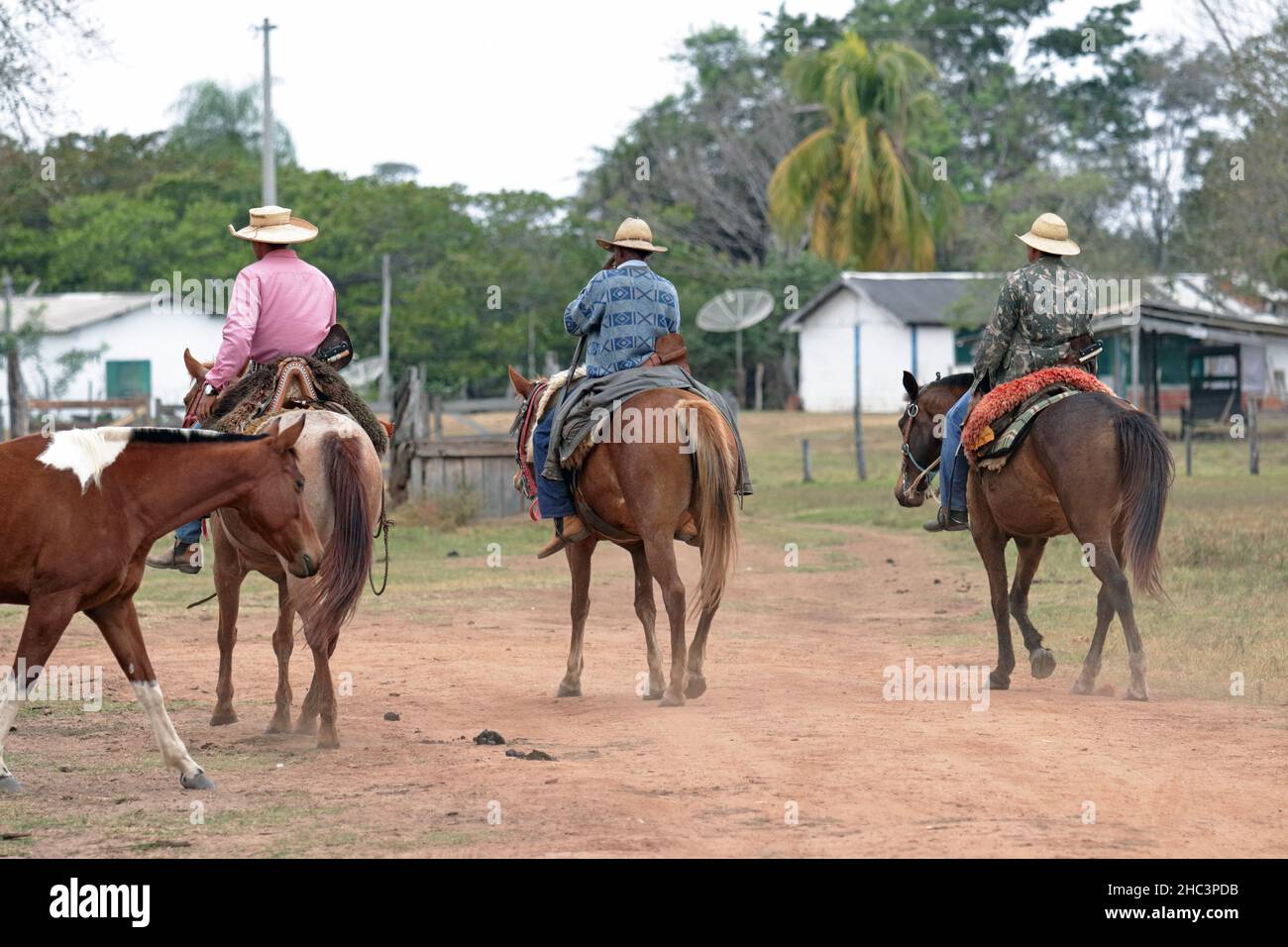 Cowboys à cheval dans le Pantanal Banque D'Images