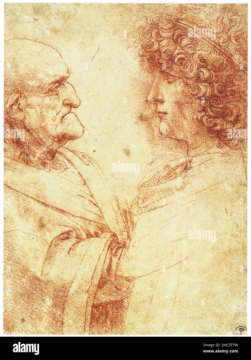 LEONARDO DA VINCI. VIEIL HOMME ET JEUNESSE. 1495-1500. RED CHALK. 208 X 150 Banque D'Images