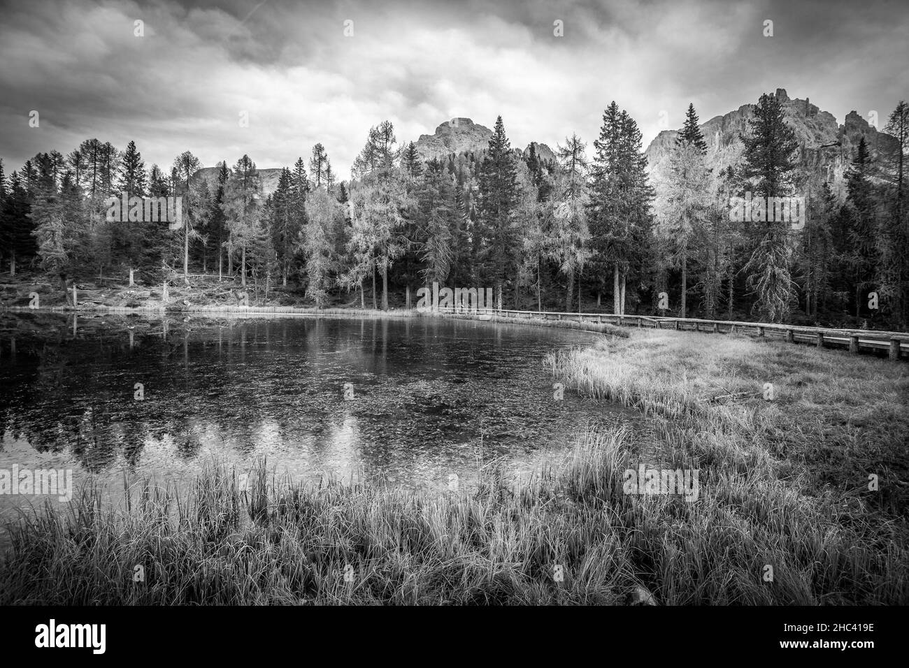 Panorama du lac et des arbres dans les Dolomites.Photo à effet monochrome Banque D'Images