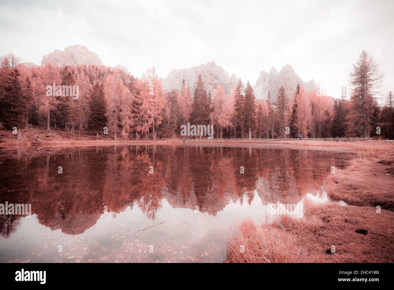 Réflexion des larches et des pics dolomitiques du lac.Photo effet fantaisie couleur Banque D'Images
