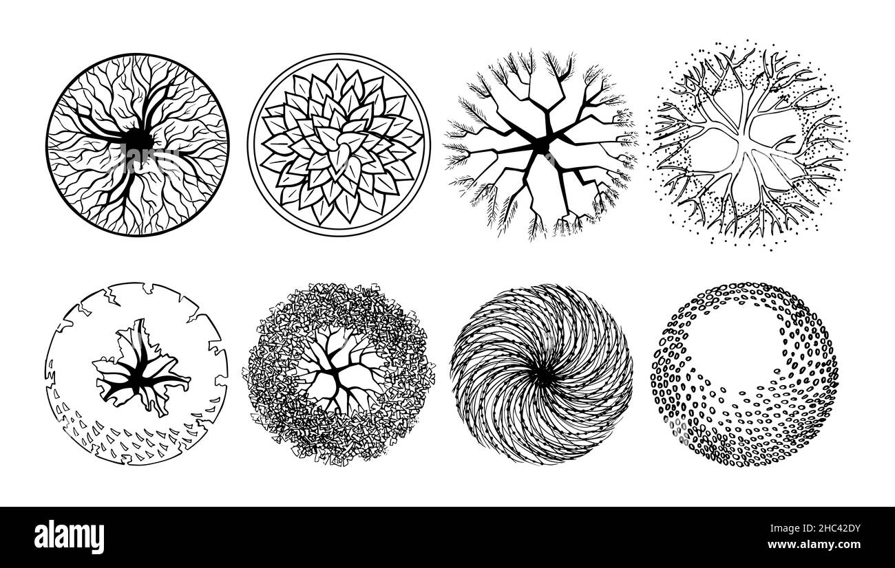 Définir une esquisse d'arbres dessinée à la main.Aménagement paysager.Vue sur les plantes ligneuses du jardin à feuilles caduques.Pictogrammes du plan directeur.Graphiques en noir et blanc. Illustration de Vecteur
