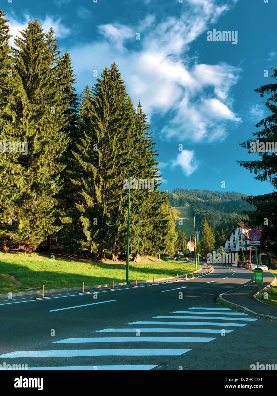 Plan vertical d'une route entourée d'arbres verts à Poiana Brasov, Roumanie Banque D'Images