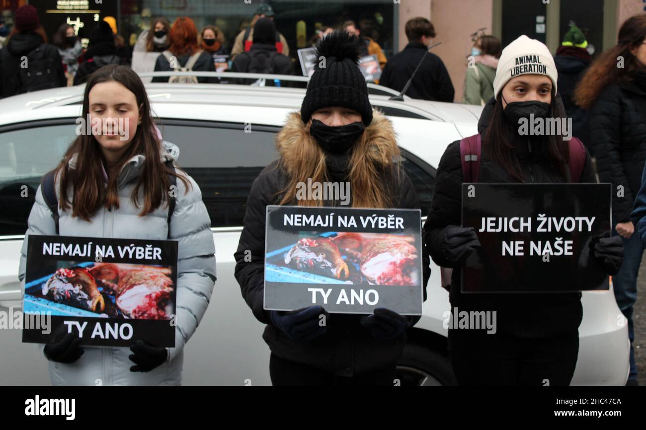La manifestation de l'allée silencieuse pour Carp a été organisée par l'association Zvirata nejime (We Don't Eat Animals) le 23 décembre 2021, à Prague, en République tchèque Banque D'Images