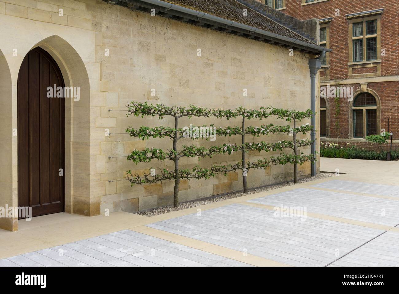 Dans le quadrilatère de St Peters College, Oxford, Royaume-Uni Banque D'Images